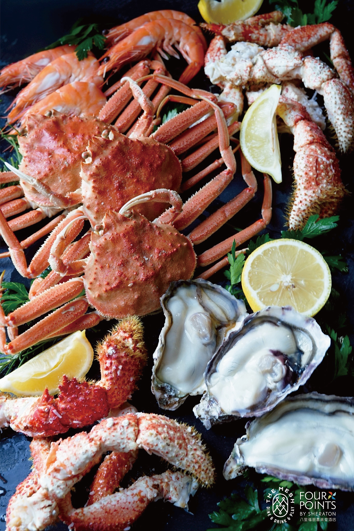 ALL_news_25L26_ZX0BgbGEU3