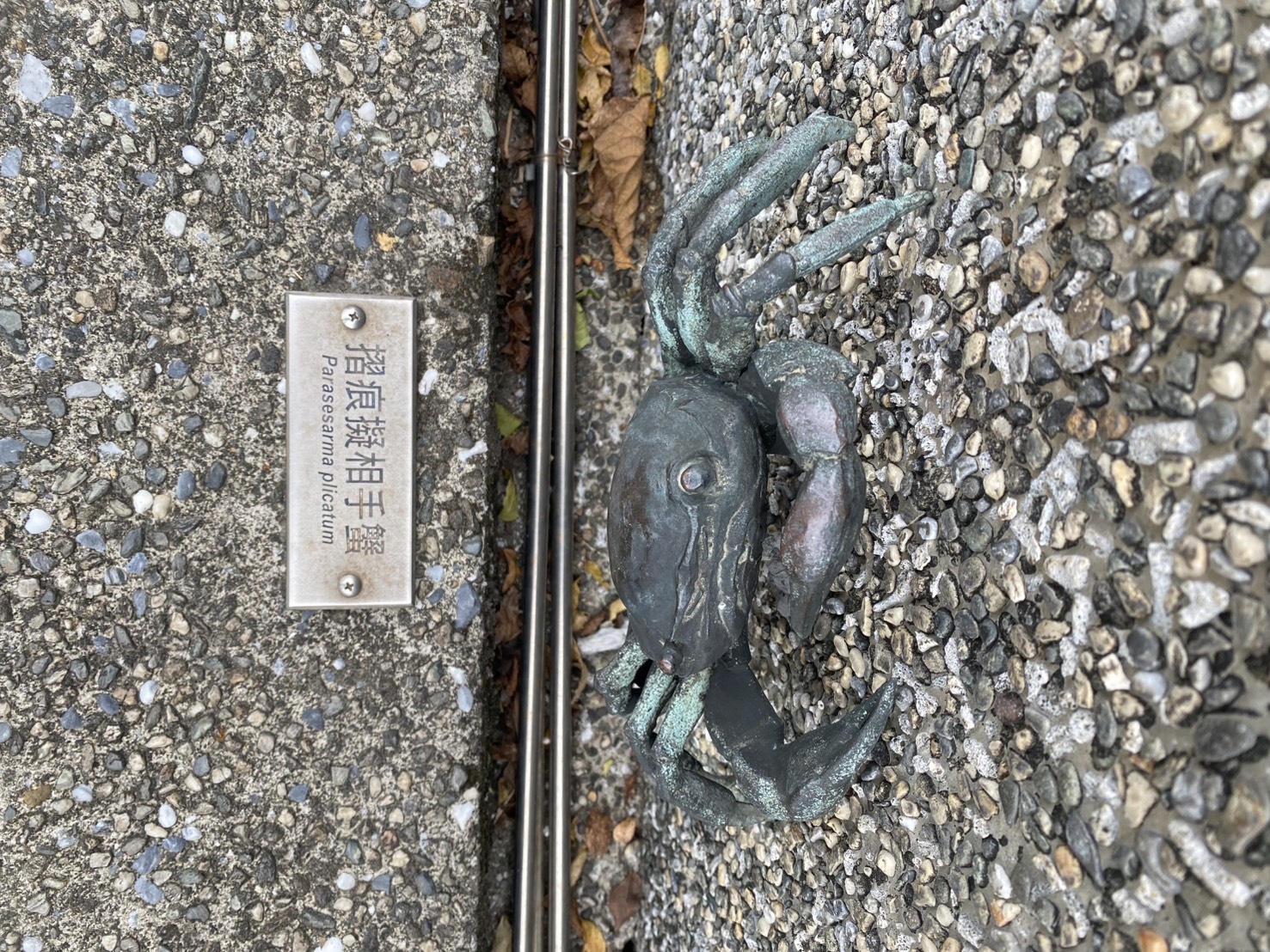 S__77029385_0