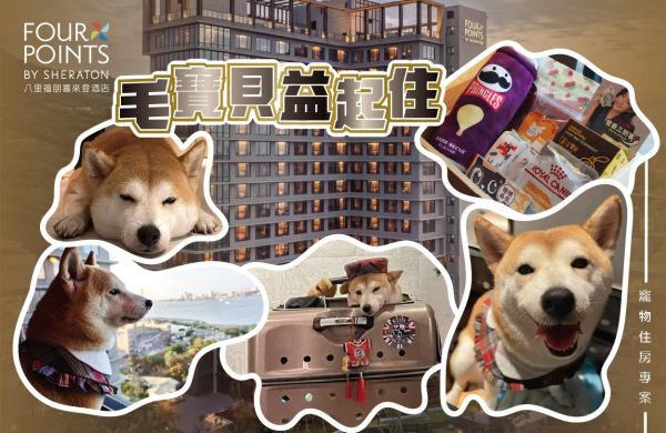 【 毛寶貝益起住 】2026寵物住房專案